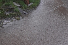20210816_152156-1-scaled