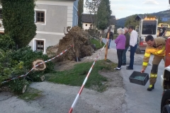 IMG-20211003-WA0115