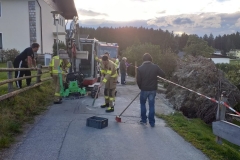 IMG-20211003-WA0118