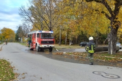 IMG-20211023-WA0059