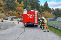 IMG-20211023-WA0113