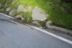 IMG-20221004-WA0016