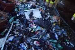 IMG-20250225-WA0003