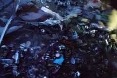 IMG-20250225-WA0007
