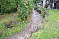 IMG-20250723-WA0010