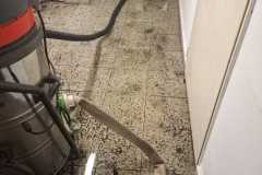 IMG-20250723-WA0013