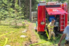20260712BrandWald01