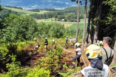 20260712BrandWald10