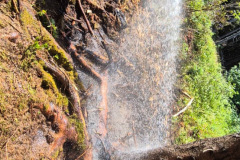 20260712BrandWald14