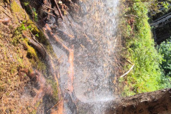 20260712BrandWald15